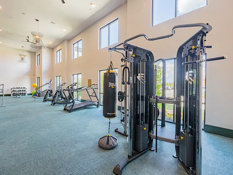 Everything you need for strength training, right at home.