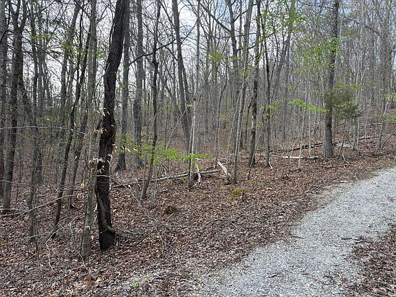 5th image of 408 Back Valley Rd