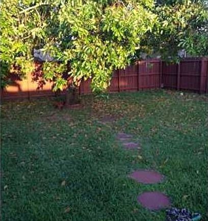 Yard/Garden