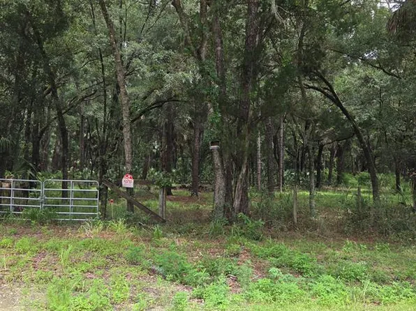 60th Ave, Chiefland, FL 32626