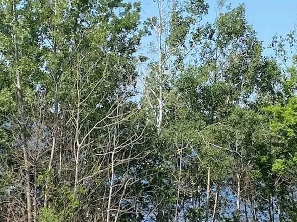 Tbd Gemmel Ave SW, Bemidji, MN 56601