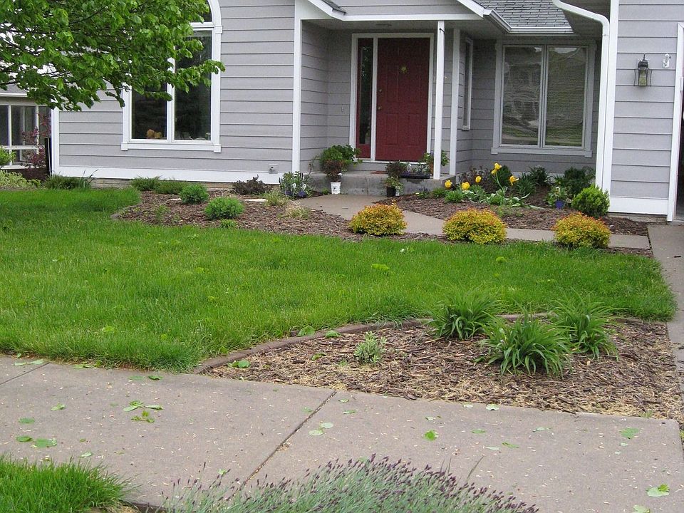 House in early spring