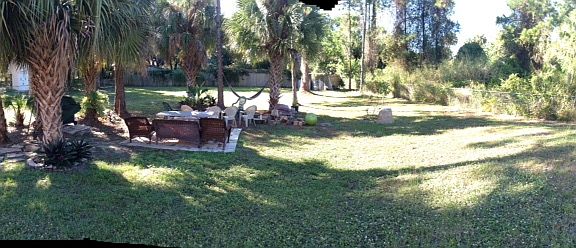 1/2 acre - Backyard