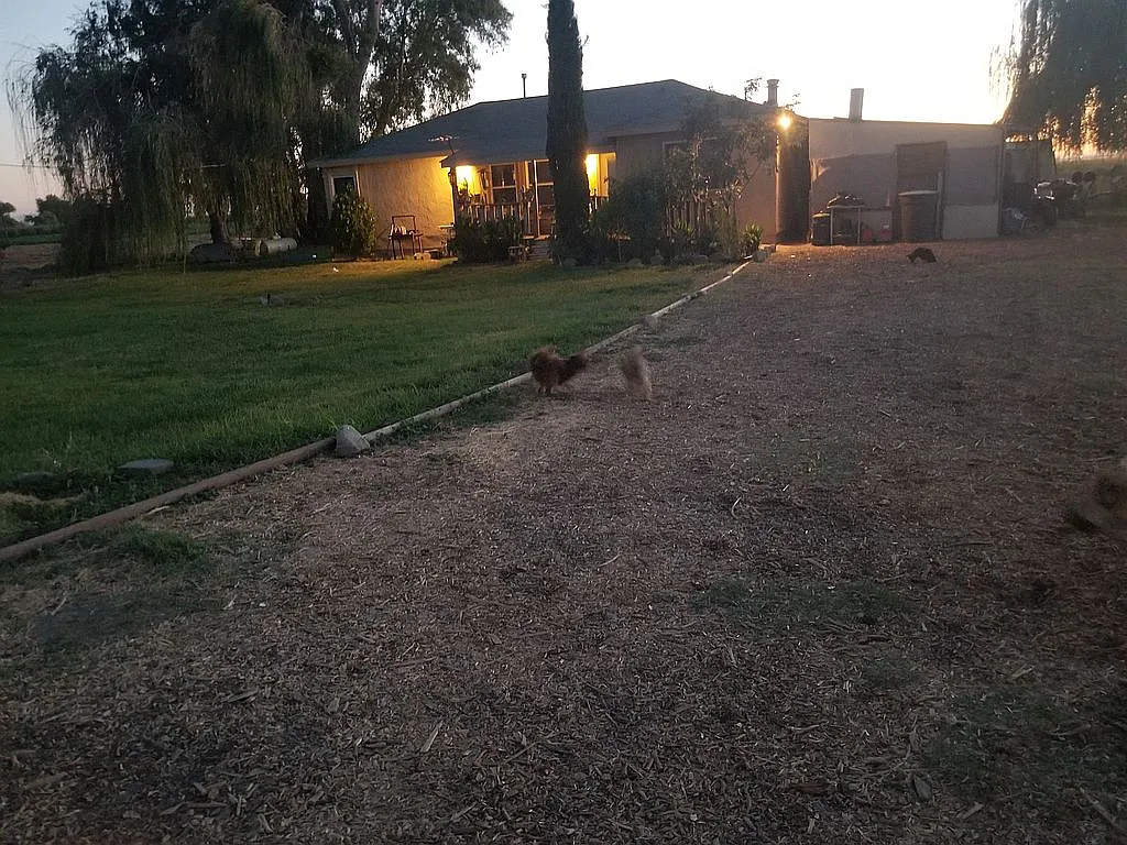 8904 23rd Ave photo 1