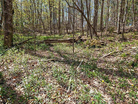 5th image of 269 Hawkins Road