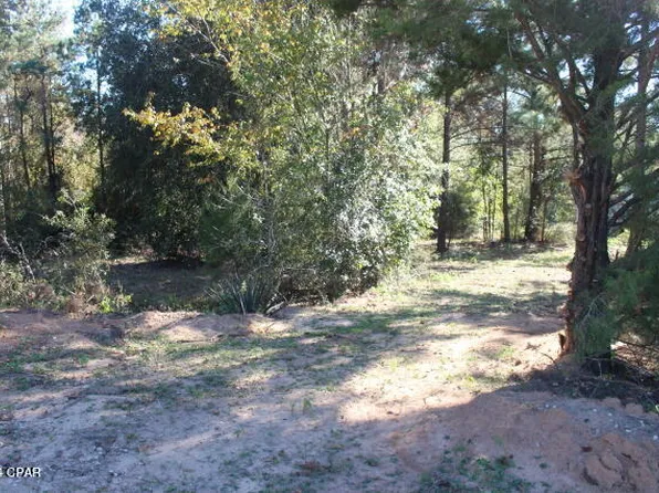 7073 Lewis Ln, Grand Ridge, FL 32442