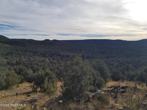 478B Juniperwood Rnch, Ash Fork, AZ 86320
