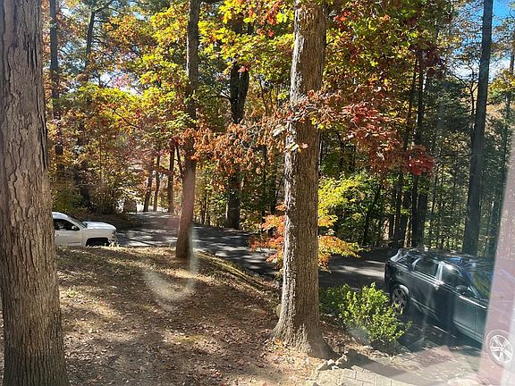 4th image of 556 Loraine St