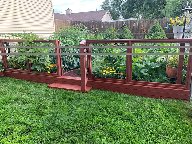 Vegetable garden