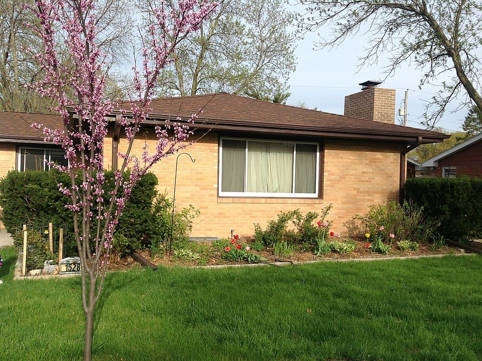 Redbud in bloom