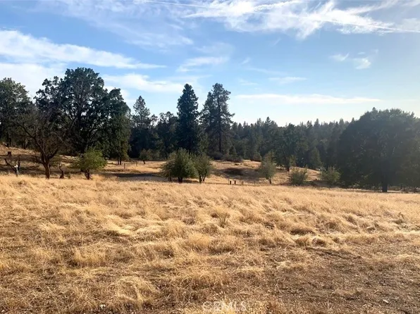 5565 Meadow Ln #A, Mariposa, CA 95338