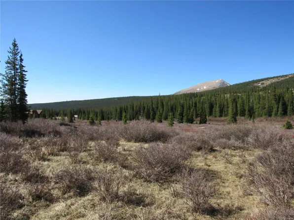 5004 Timberline Ter, Fairplay, CO 80440