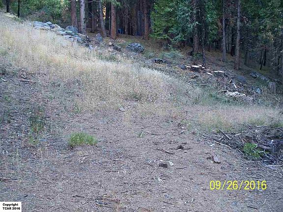 2nd image of 29733 Kerns Dr