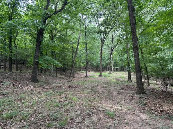 14295 Blue Mountain Rd, Prairie Grove, AR 72753