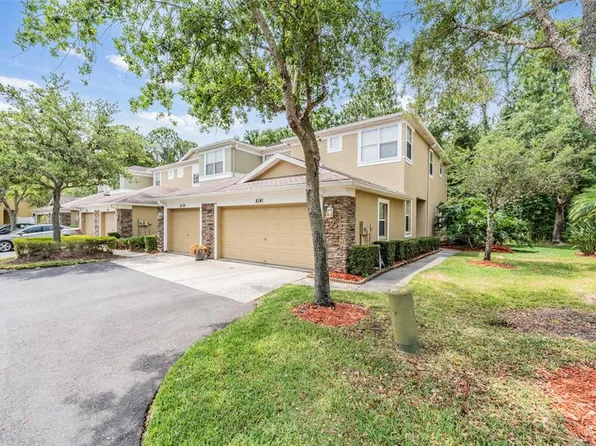 8141 Stone Leaf Ln, Tampa, FL 33647