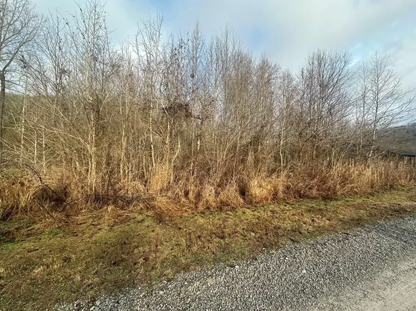 7 Holcomb Lndg, Burkesville, KY 42717