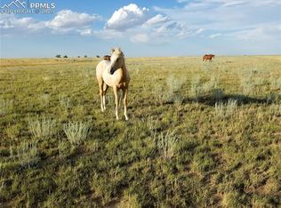 3875 N Rush Rd, Rush, CO 80833