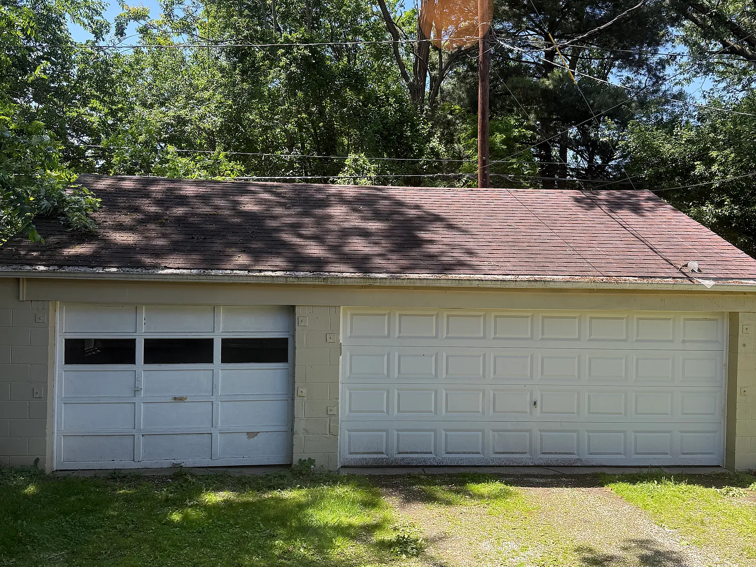 2 bed, 800 sqft, $1,100 — Photo 4
