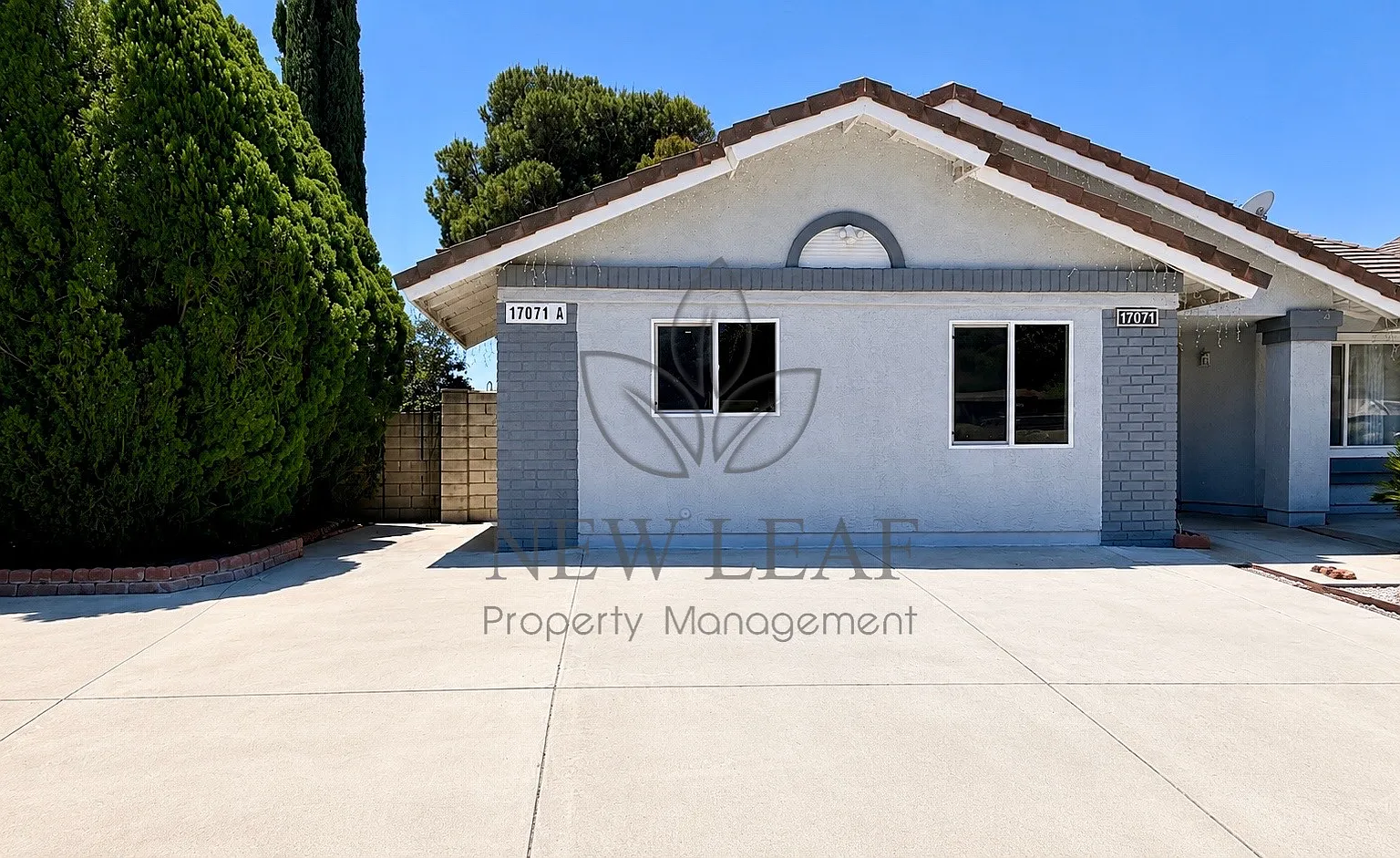 1 bed, 650 sqft, $1,800 — Photo 3