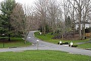3rd image of 7648 Burford Dr