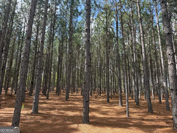 12 Barge Rd, Lumpkin, GA 31815