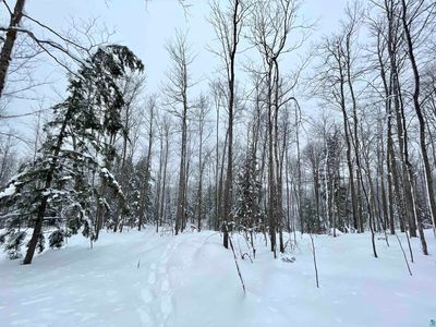 Golf Course Rd, High Bridge, WI, 54846