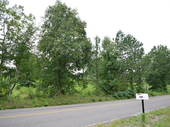 3rd image of 8 White Flats Rd Lot 8
