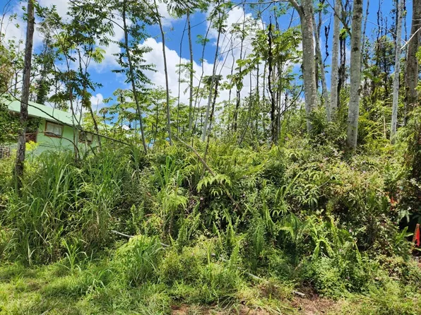 Molokai Rd, Pahoa, HI 96778
