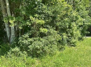 222 W Holtz St, Hastings, FL 32145