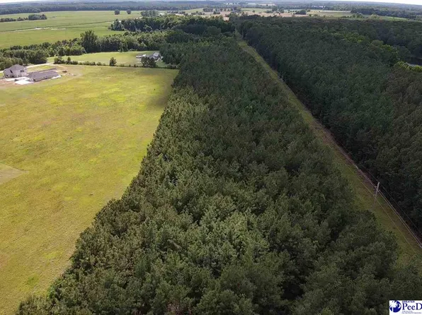 Harllees Bridge Rd, Little Rock, SC 29567