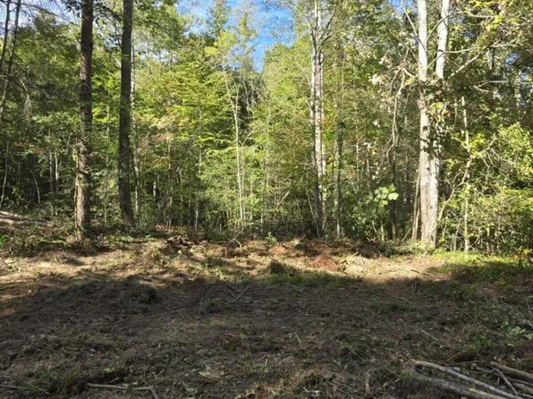 176 Fox Ln, Mooresburg, TN 37811