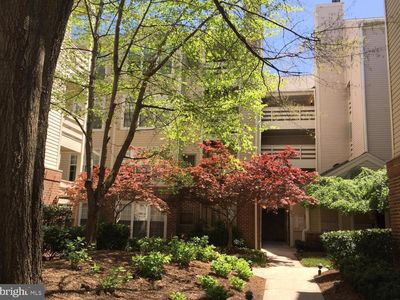 240 S Reynolds St APT 410, Alexandria, VA, 22304