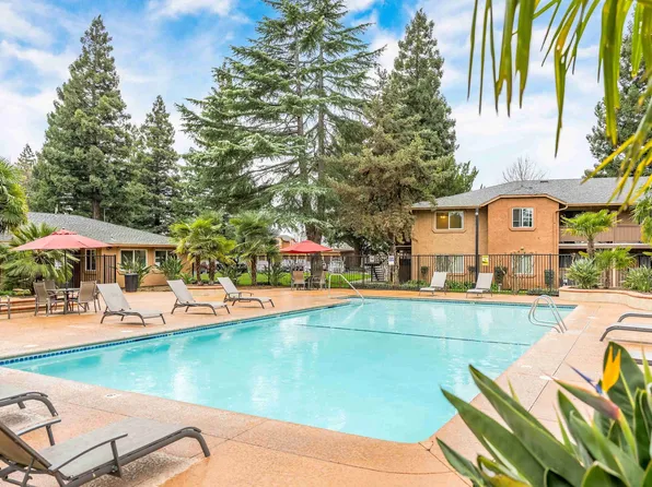 Pine Tree Apartments