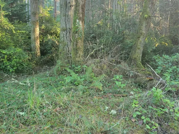 11109 Cole Place, Anderson Island, WA 98303