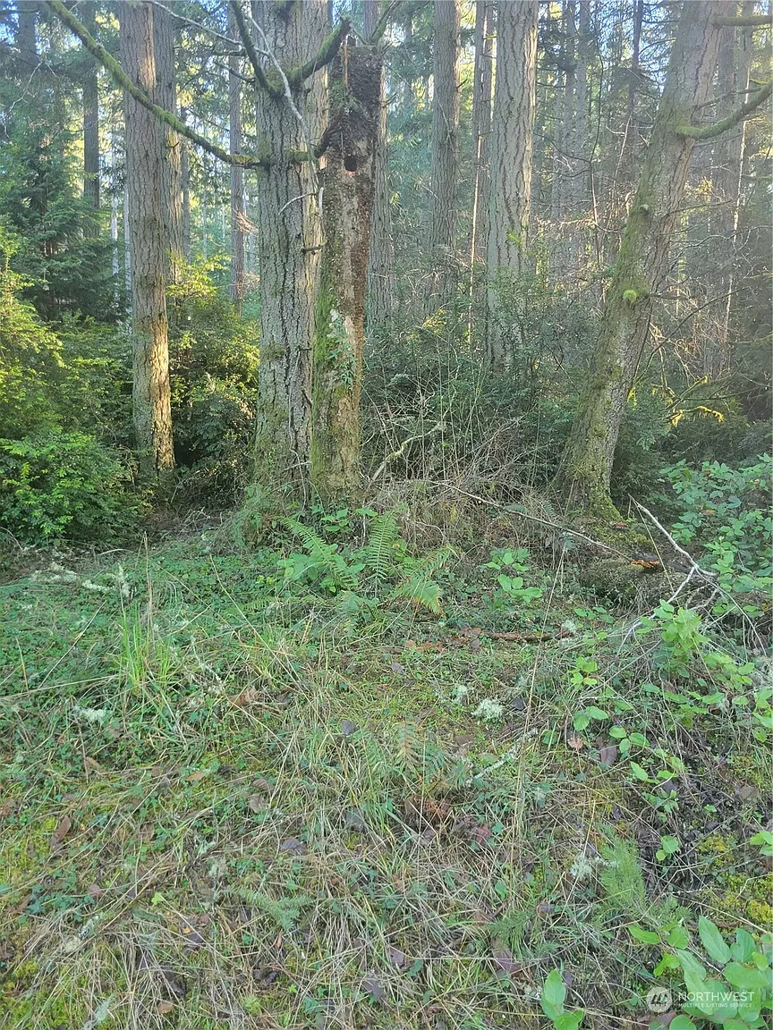 11109 Cole Place photo 1