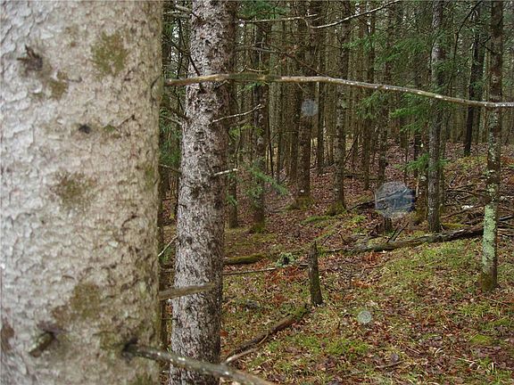 2nd image of 14.6+/- Acres On Eder Road