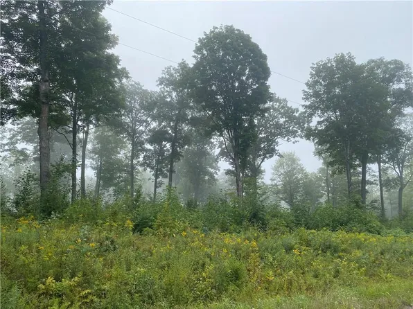 ON Zettel Road, Exeland, WI 54835