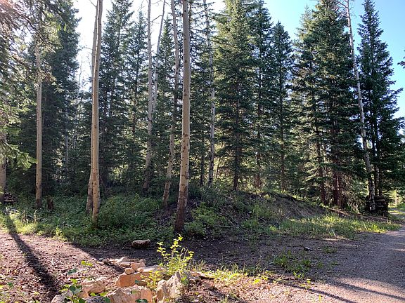 3rd image of 3 Porcupine Cir