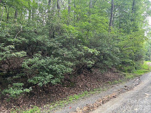 4th image of 0 Pine Ridge Rd #21