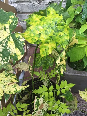 Rented by Owner | media 10