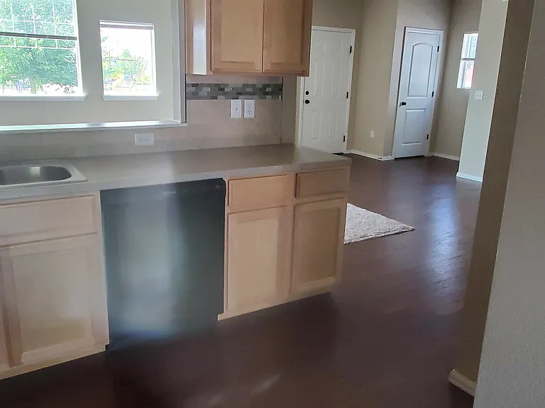 kitchen and dishwasher