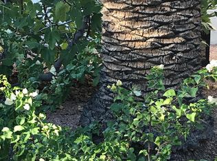 537 S 4th Ave, Tucson, AZ 85701