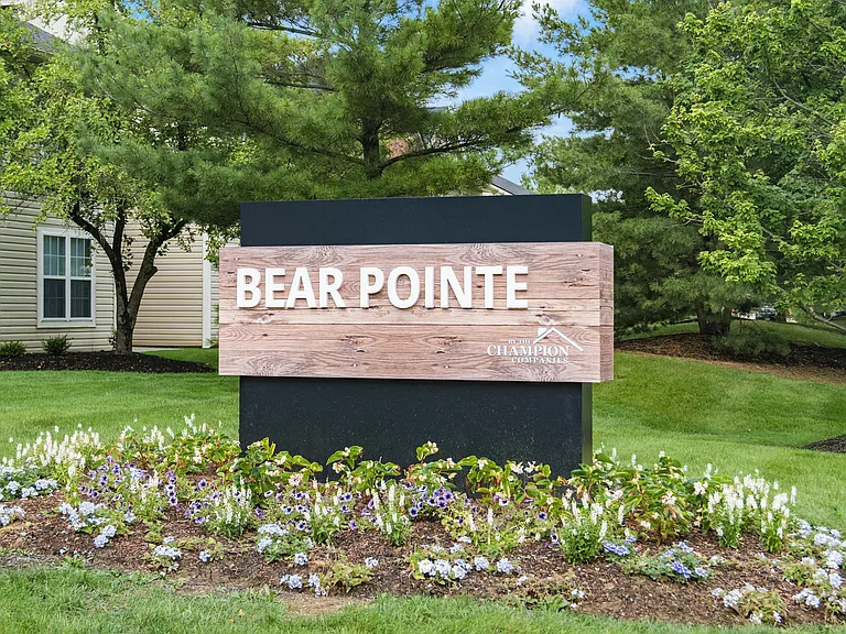 Bear Pointe — Photo 3