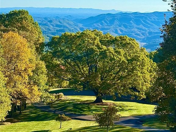 4th image of 733 Dogwood Lane