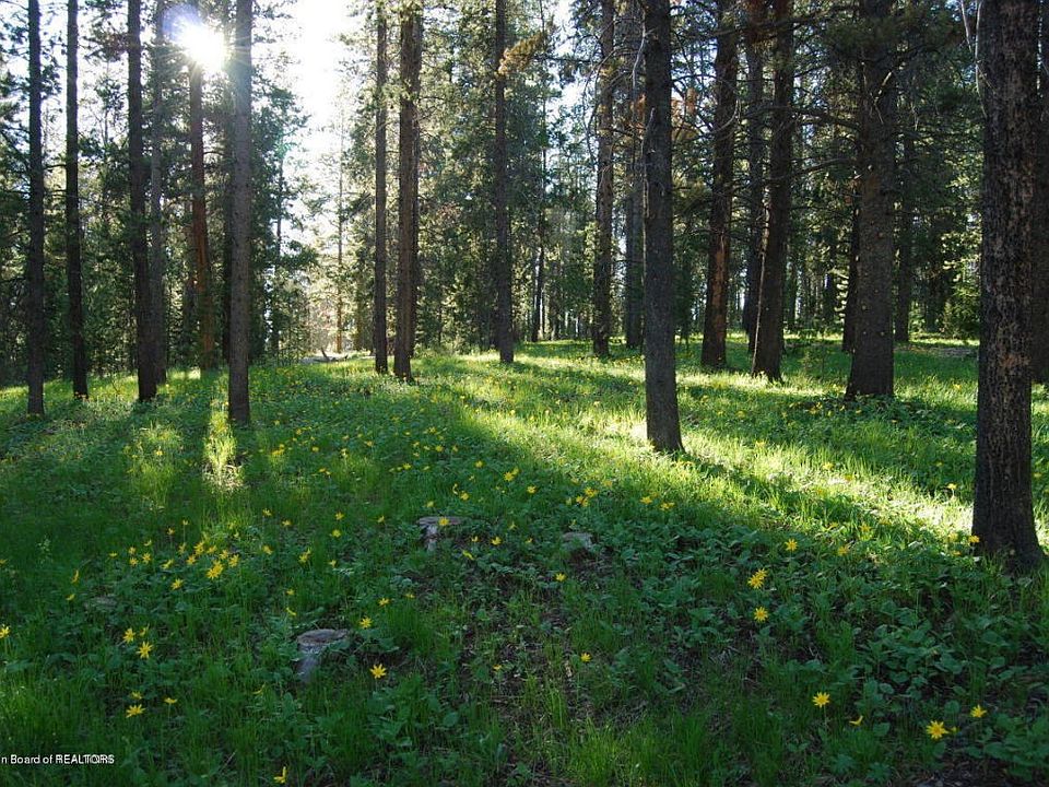 20150714175554539891000000-o