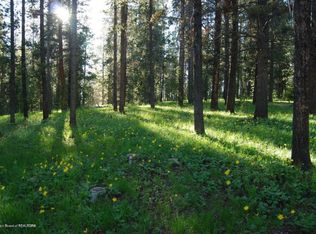 Packer Ridge Rd, Bondurant, WY 82922