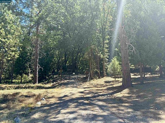 4th image of 4578 Pretty Good Rd