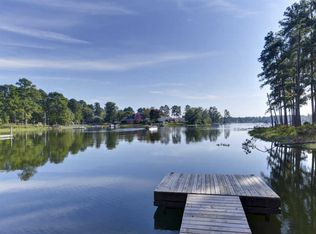 9 Cheryse Ct, Chapin, SC 29036