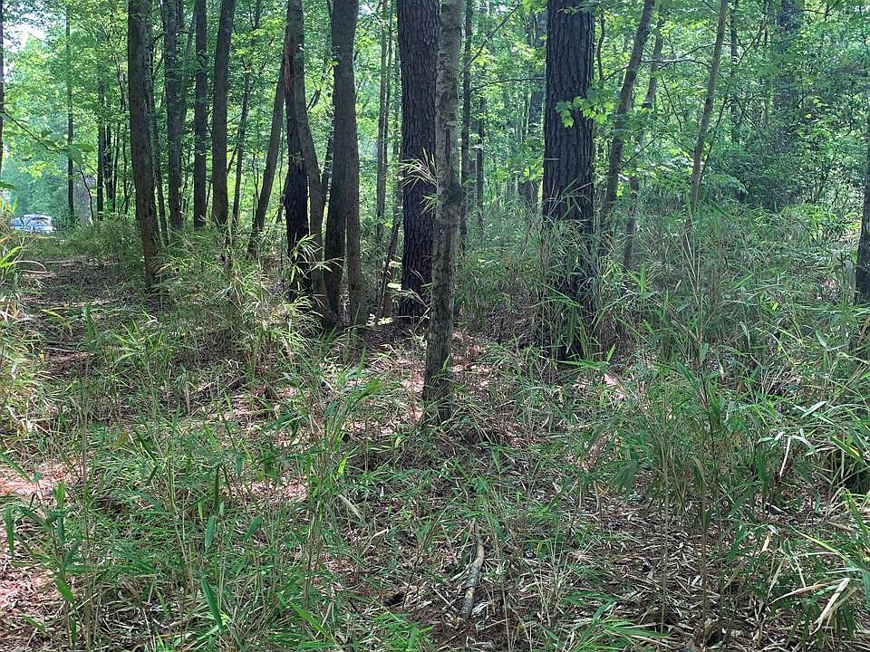 2nd image of LOT 28 Tuck St