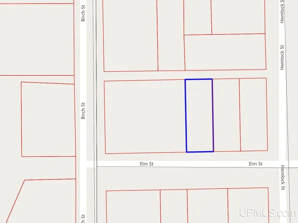 Elm Ave, Spalding, MI 49886